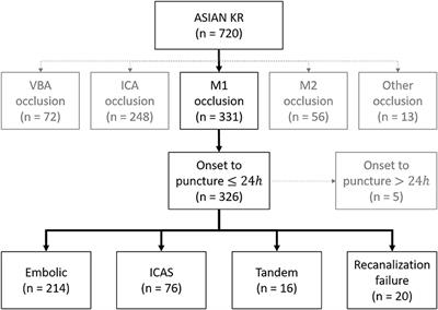 Etiological Approach to Understanding Recanalization Failure in Intracranial Large Vessel Occlusion and Thrombectomy: Close to Embolism but Distant From Atherosclerosis